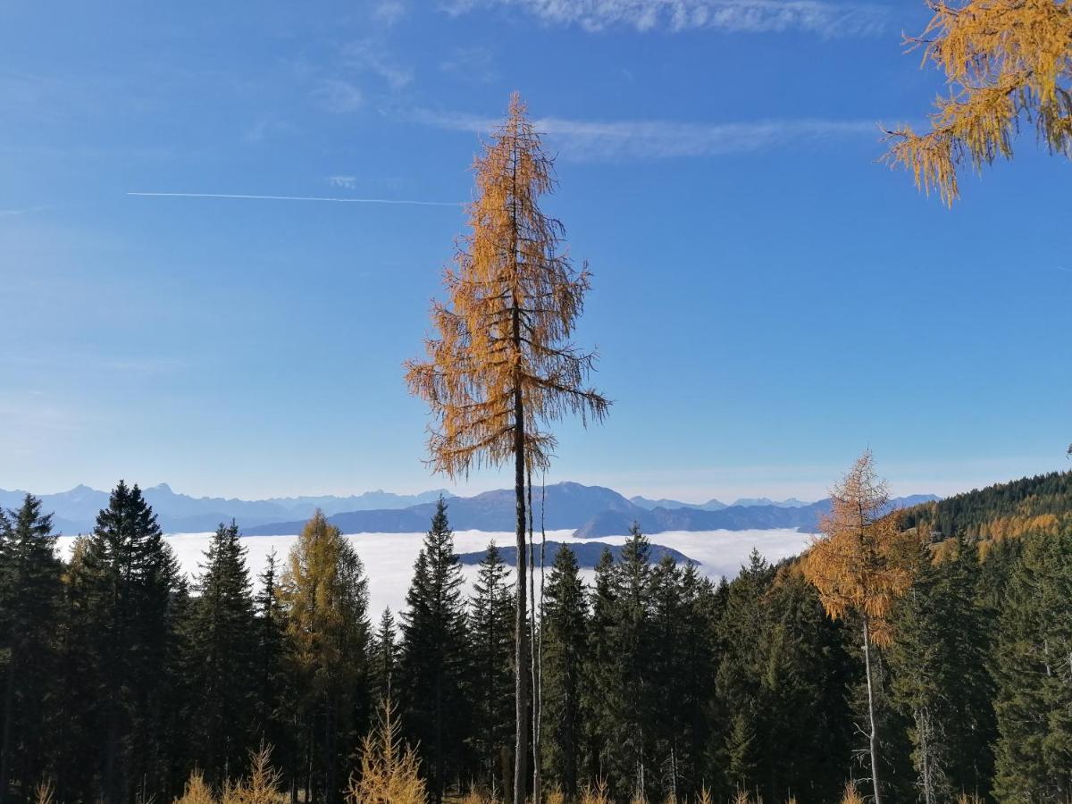 Gerlitzen Ferienappartement Paul Im Ski- Und Wandergebiet, Kanzelhoehe, Ossiacher See Deutschberg Dış mekan fotoğraf